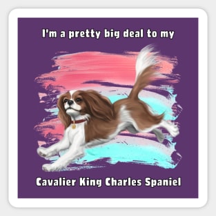 I'm a pretty big deal to my Cavalier King Charles Spaniel, Blenheim Sticker